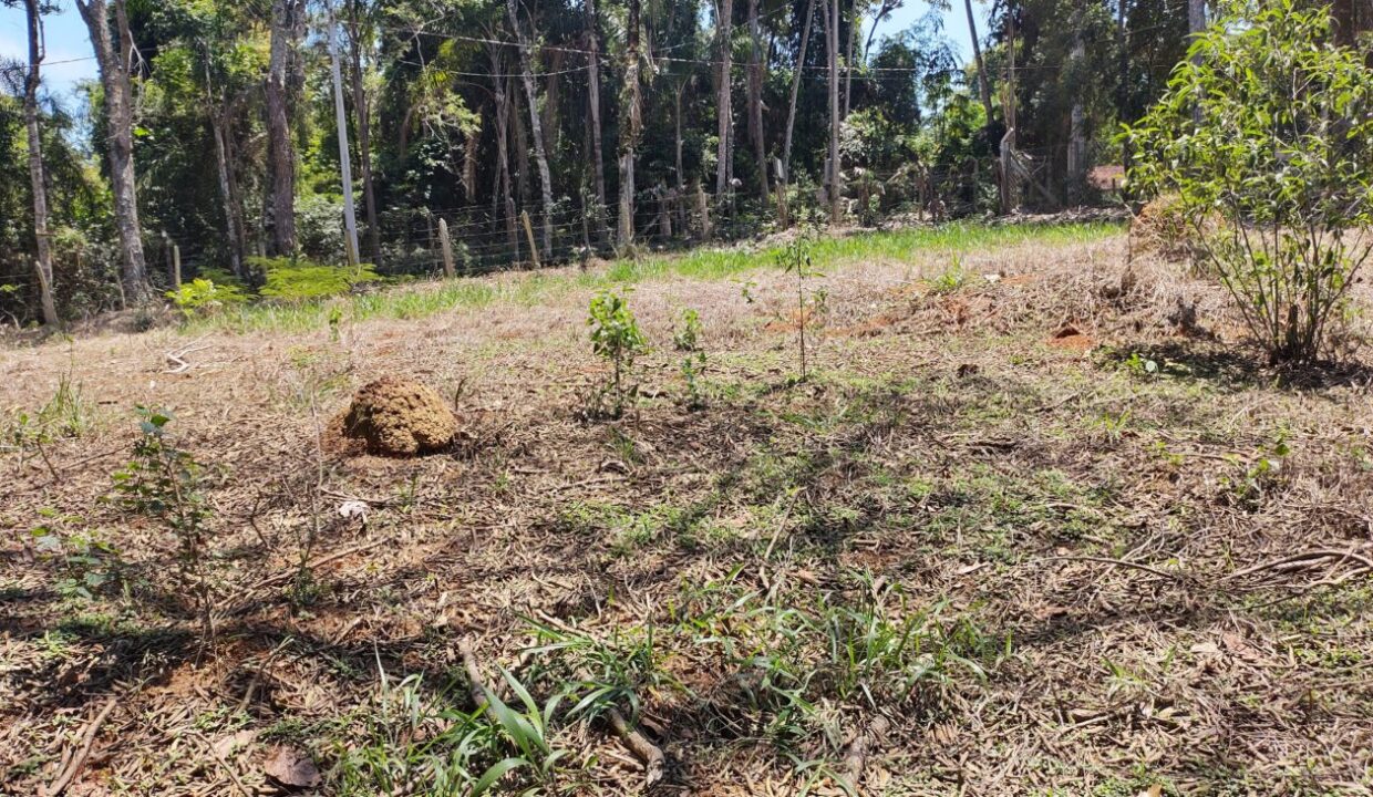 TERRENO 1.OOO PÉ NA ÁGUA A VENDA JOANÓPLIS INTERIOR DE SÃO PAULO REPRESA DO JAGUARI (4)