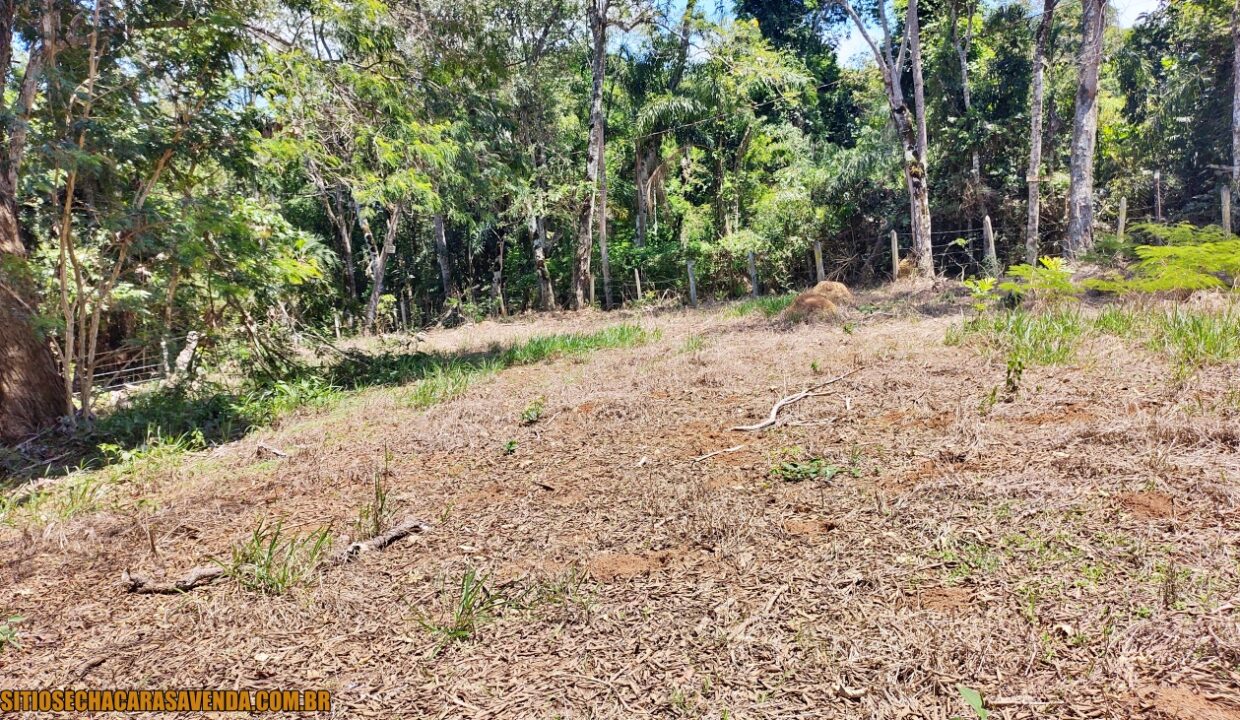TERRENO 4.600 M² PÉ NA ÁGUA A VENDA REPRESA JAGUARI EM JOANÓPOLIS SÃO PAULO (1)