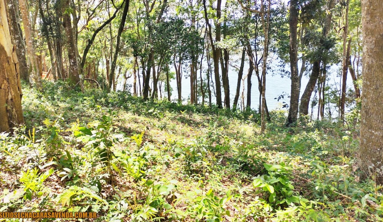 TERRENO 4.600M² PÉ NA ÁGUA A VENDA JOANÓPLIS INTERIOR DE SÃO PAULO REPRESA DO JAGUARI (12)