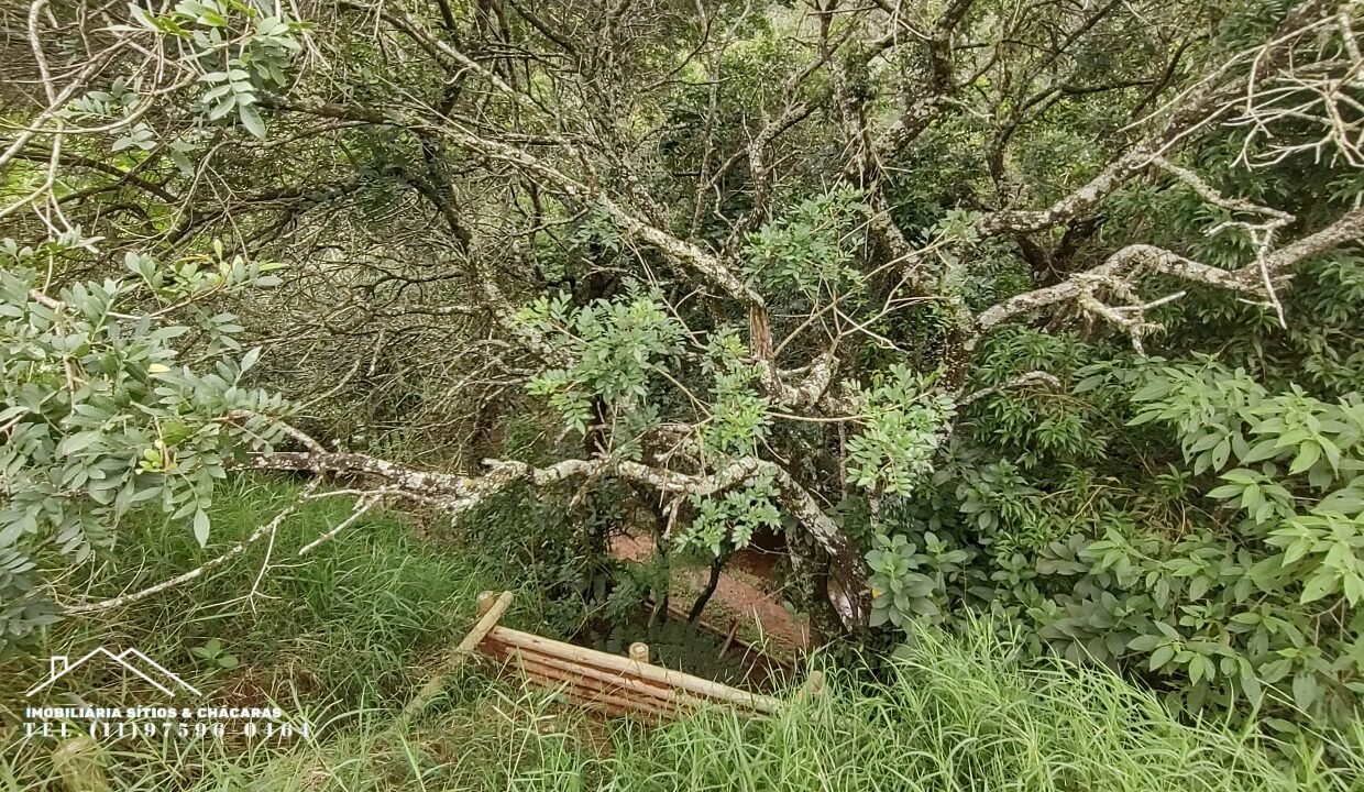 Chácara 1.755m² com riacho (10)