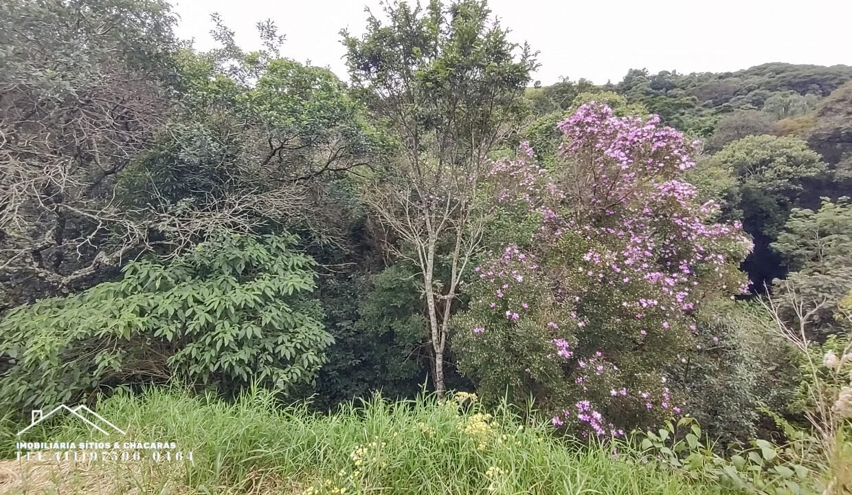 Chácara 1.755m² com riacho (21)