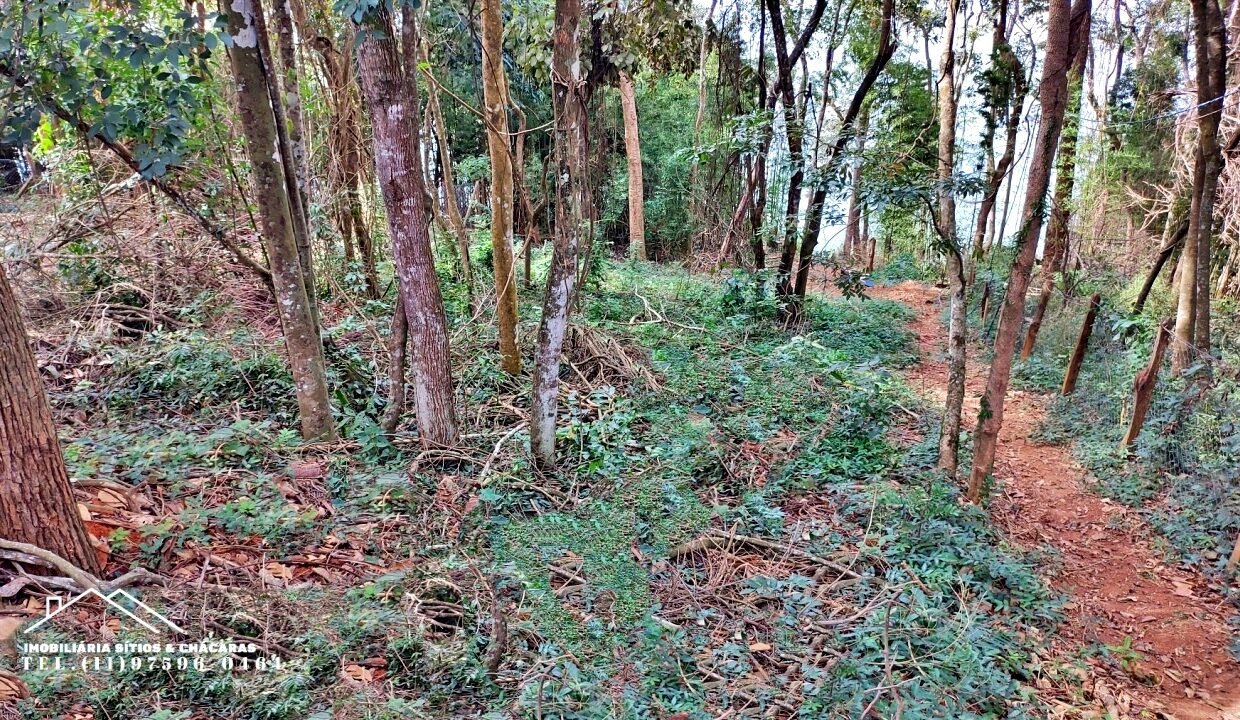 batch_Terreno represa pé na água (15)